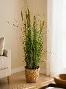 Planta carrizo artificial en maceta en Jaén - Zalema Decoración
