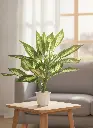 Planta Dieffenbachia Artificial en ambiente de salón moderno