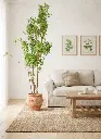 Arce Artificial en Salón Boho-Rústico - Zalema Decoración