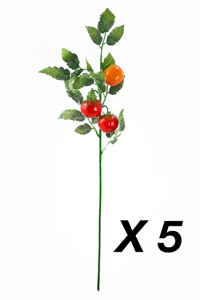 [W1204] Set de 5 varas de tomate cherry