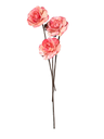 Set de 3 Flores de Madera Rosas | Decoración Floral Jaén y Linares