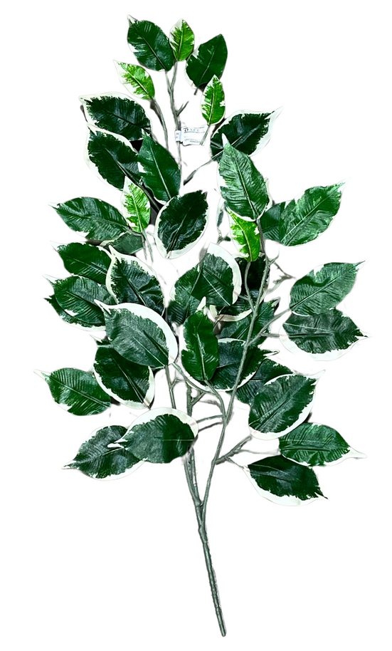 [WGARMC-933] Set de 6 ramas de ficus 60 cm