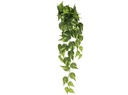 Planta Colgante Pothos Artificial (51-80 cm) - Realismo Zalema