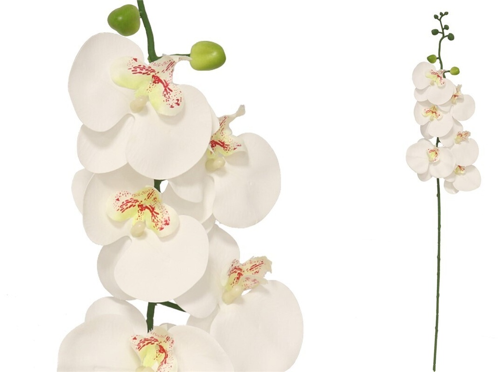 VARA ORQUIDEA X 6 REAL TOUCH-76 CM (BLANCO)