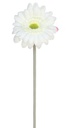 VARA GERBERA MICRO 12CM / 52CM (BLANCO)