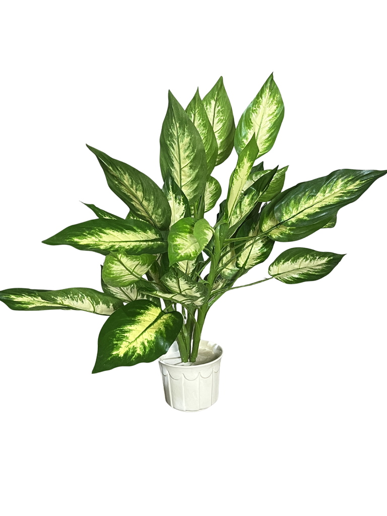 [2207262040] Planta dieffenbachia Artificial en Maceta de Cerámica Blanca
