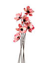 set de 6 flores rosas | Decoración Floral Jaén y Linares