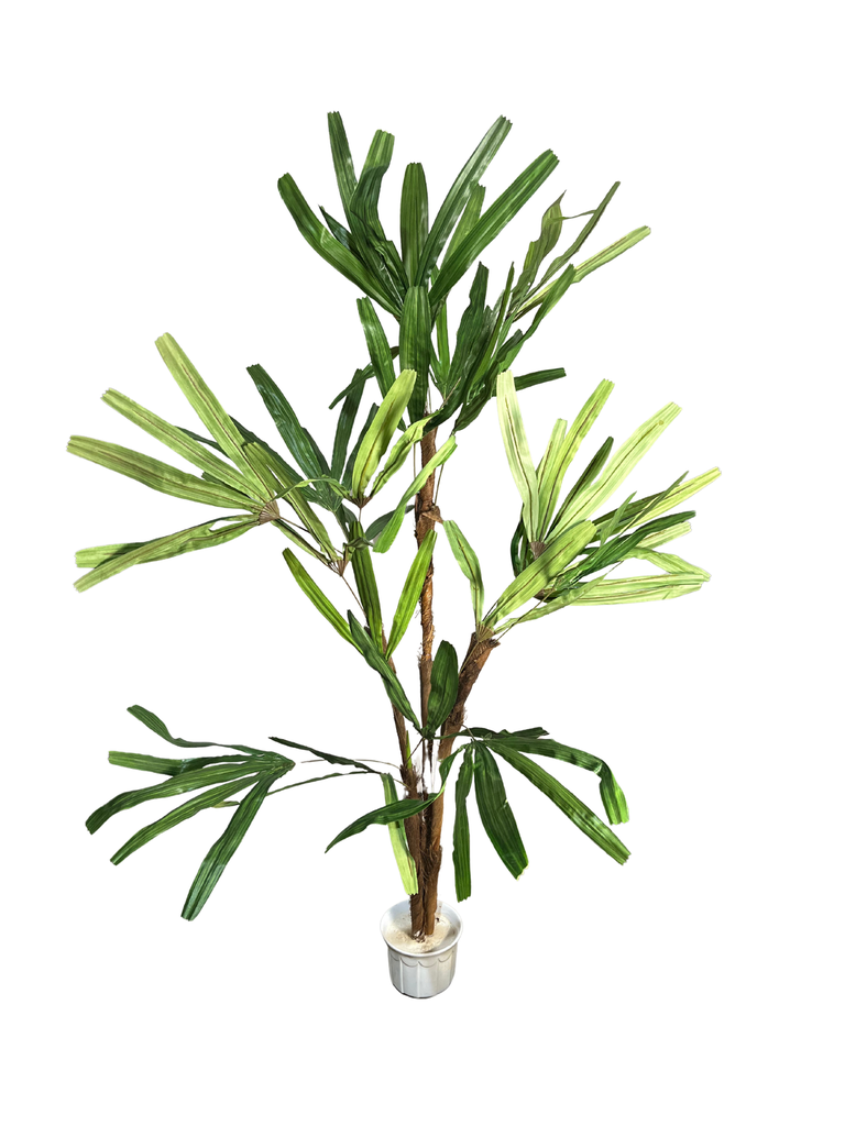 Palmera Raphis Artificial 145cm | Decoración Jaén y Linares