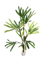 Palmera Raphis Artificial 145cm | Decoración Jaén y Linares