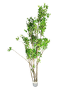 Arce Artificial Decorativo 180cm - Zalema Decoración