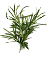 Planta Finger Croton Artificial 100cm | Zalema Decoración