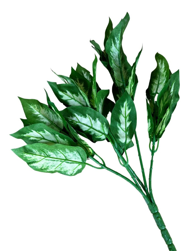 [W3426] Planta Dieffenbachia Artificial